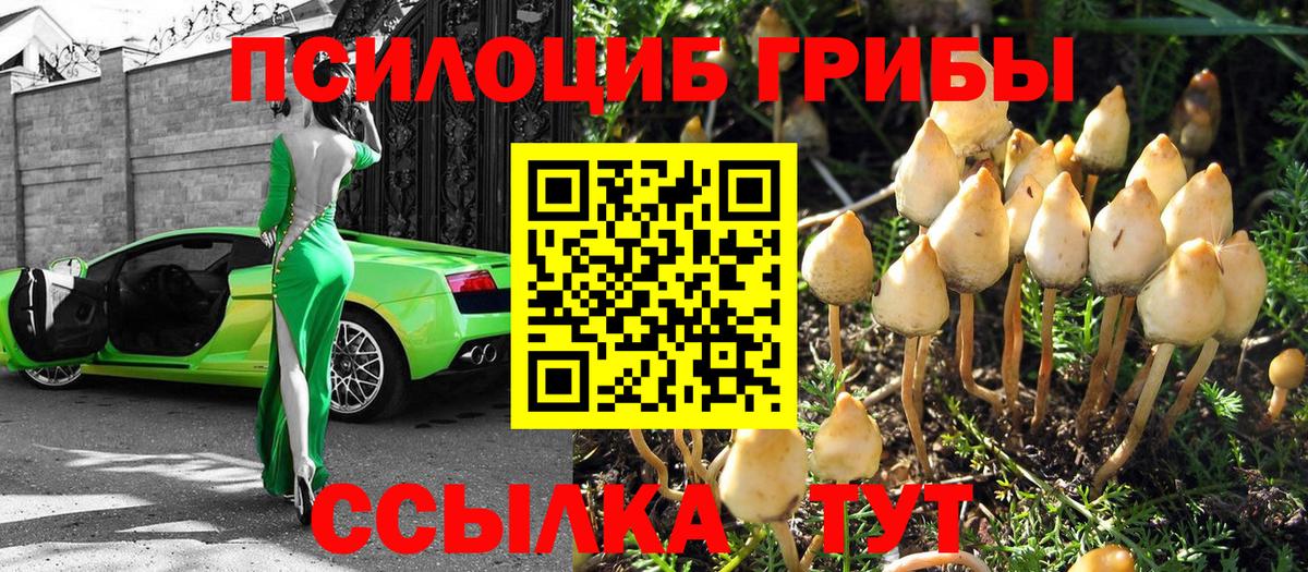Выкса  Галлюциногенные грибы Psilocybe  Галлюциногенные грибы Cubensis  Вход с VPN 